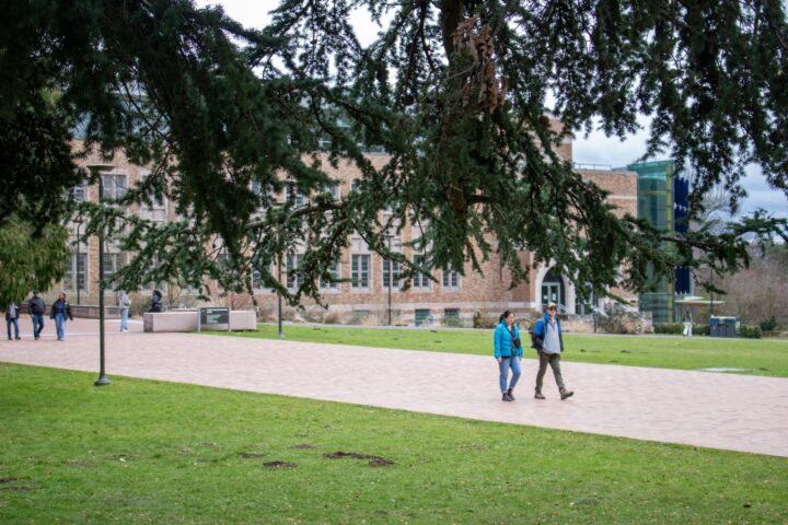 木陰の広がる大学のキャンパスを歩く学生